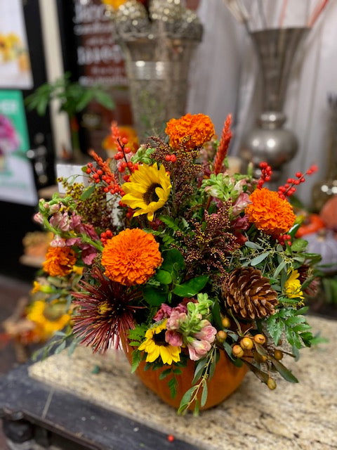 Autumn Harvest Pumpkin – AZAR FLRST INC/NEWPORT BEACH FLRST & GDN, Irvine CA