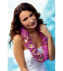 ORCHID LEI – AZAR FLRST INC/NEWPORT BEACH FLRST & GDN, Irvine CA