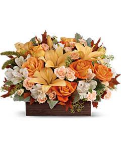 FALL CHIC BOX – AZAR FLRST INC/NEWPORT BEACH FLRST & GDN, Irvine CA