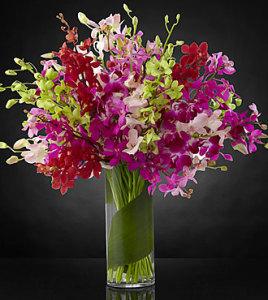 Luxury Orchid Bouquet Special – AZAR FLRST INC/NEWPORT BEACH FLRST & GDN, Irvine CA