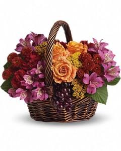 Sending Joy – AZAR FLRST INC/NEWPORT BEACH FLRST & GDN, Irvine CA