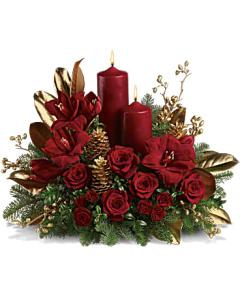 Candlelit Amaryllis – AZAR FLRST INC/NEWPORT BEACH FLRST & GDN, Irvine CA