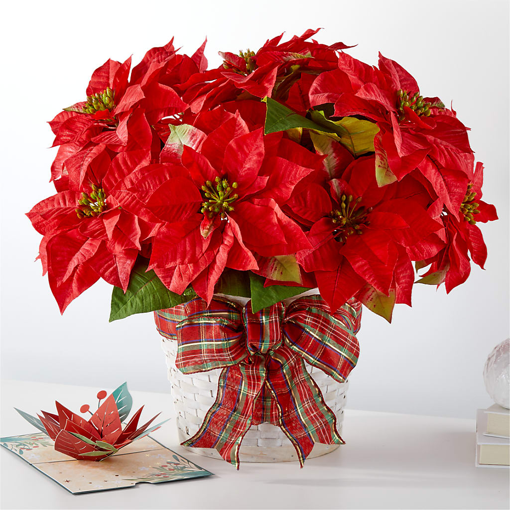 Happiest Holidays Poinsettia and Lovepop Card – AZAR FLRST INC/NEWPORT BEACH FLRST & GDN, Irvine CA