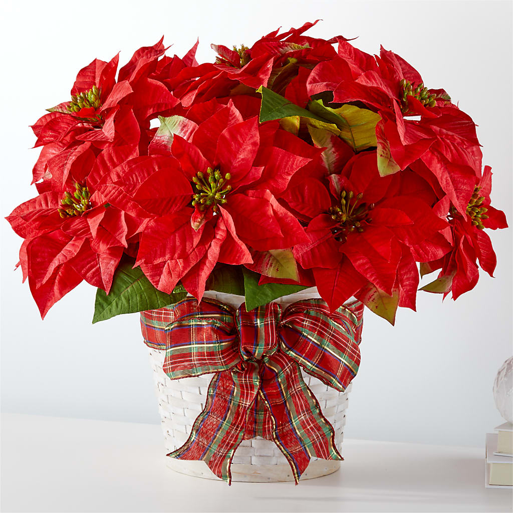 Happiest Holidays Poinsettia – AZAR FLRST INC/NEWPORT BEACH FLRST & GDN, Irvine CA