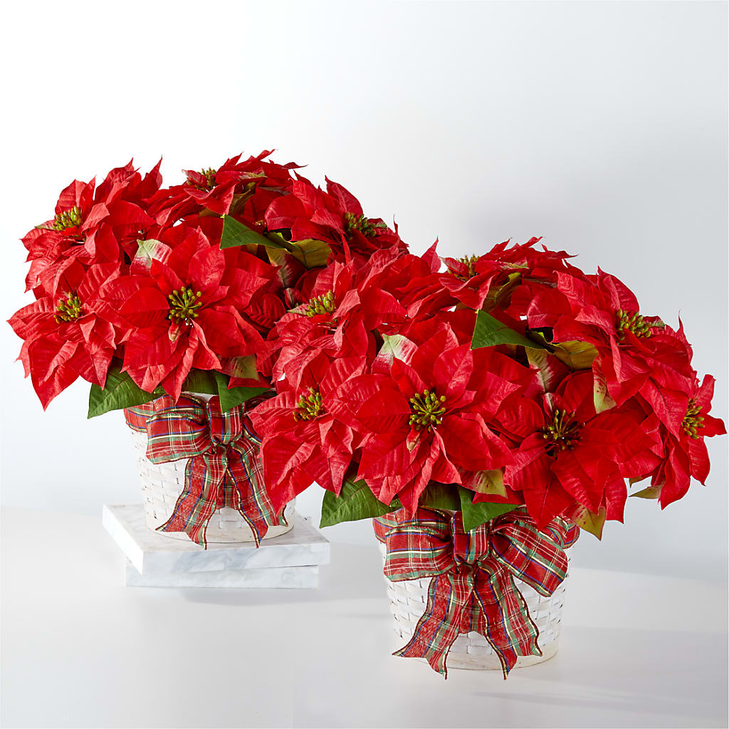 Happiest Holidays Poinsettia Bundle – AZAR FLRST INC/NEWPORT BEACH FLRST & GDN, Irvine CA