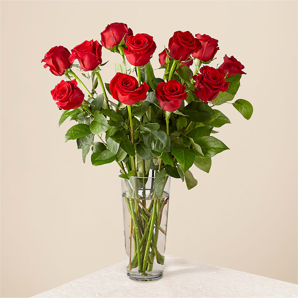 Long Stem Red Rose Bouquet – AZAR FLRST INC/NEWPORT BEACH FLRST & GDN, Irvine CA
