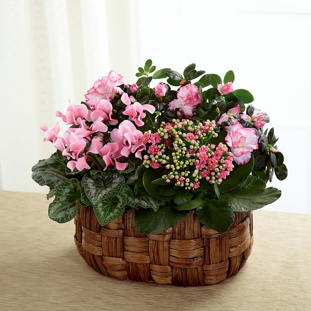 Pink Assortment – AZAR FLRST INC/NEWPORT BEACH FLRST & GDN, Irvine CA