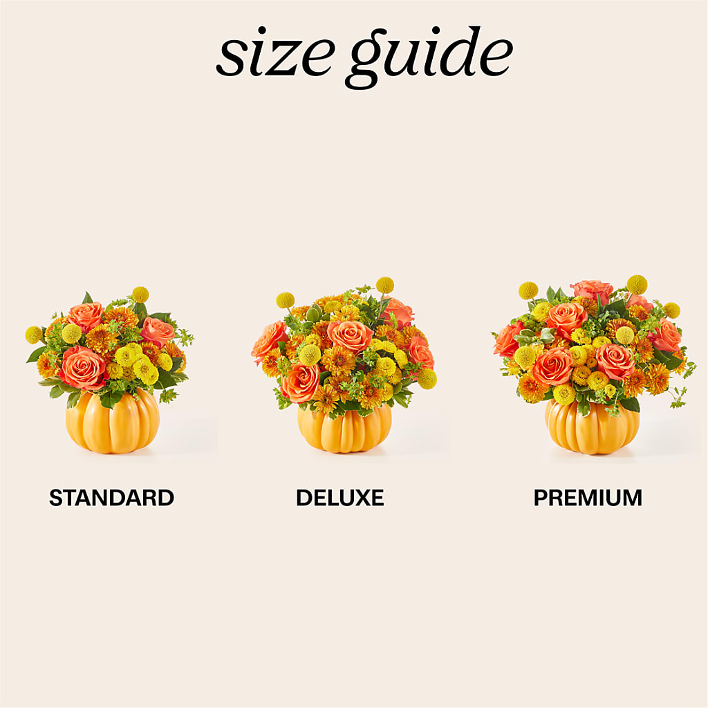 Gourdgeous Pumpkin – AZAR FLRST INC/NEWPORT BEACH FLRST & GDN, Irvine CA