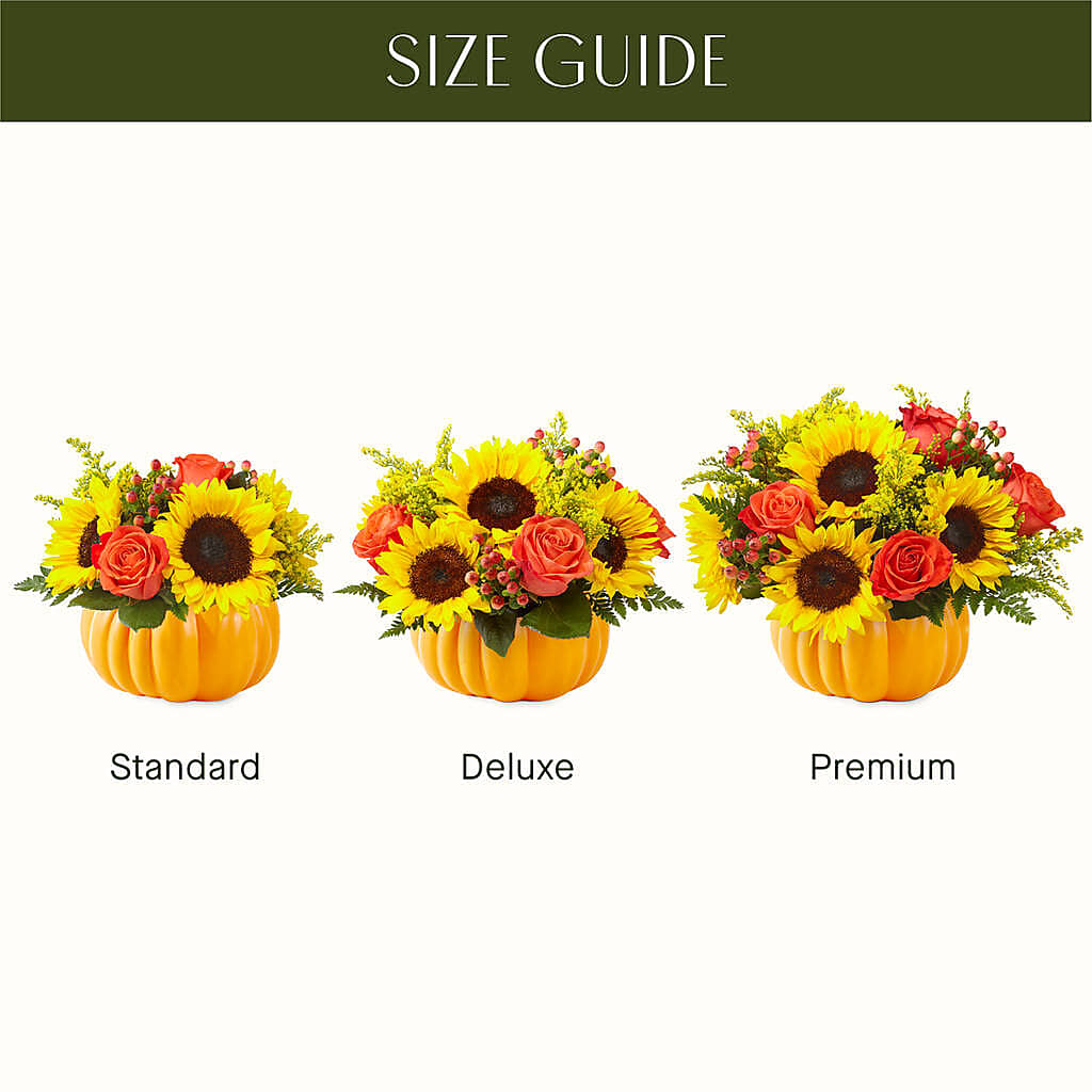 Pick of the Patch Pumpkin Bouquet – AZAR FLRST INC/NEWPORT BEACH FLRST & GDN, Irvine CA