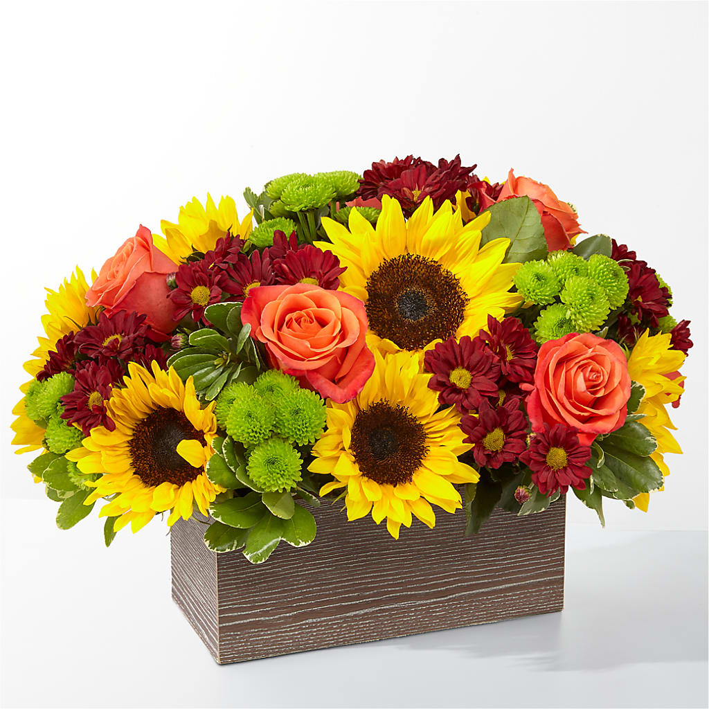 Happy Harvest Garden – AZAR FLRST INC/NEWPORT BEACH FLRST & GDN, Irvine CA
