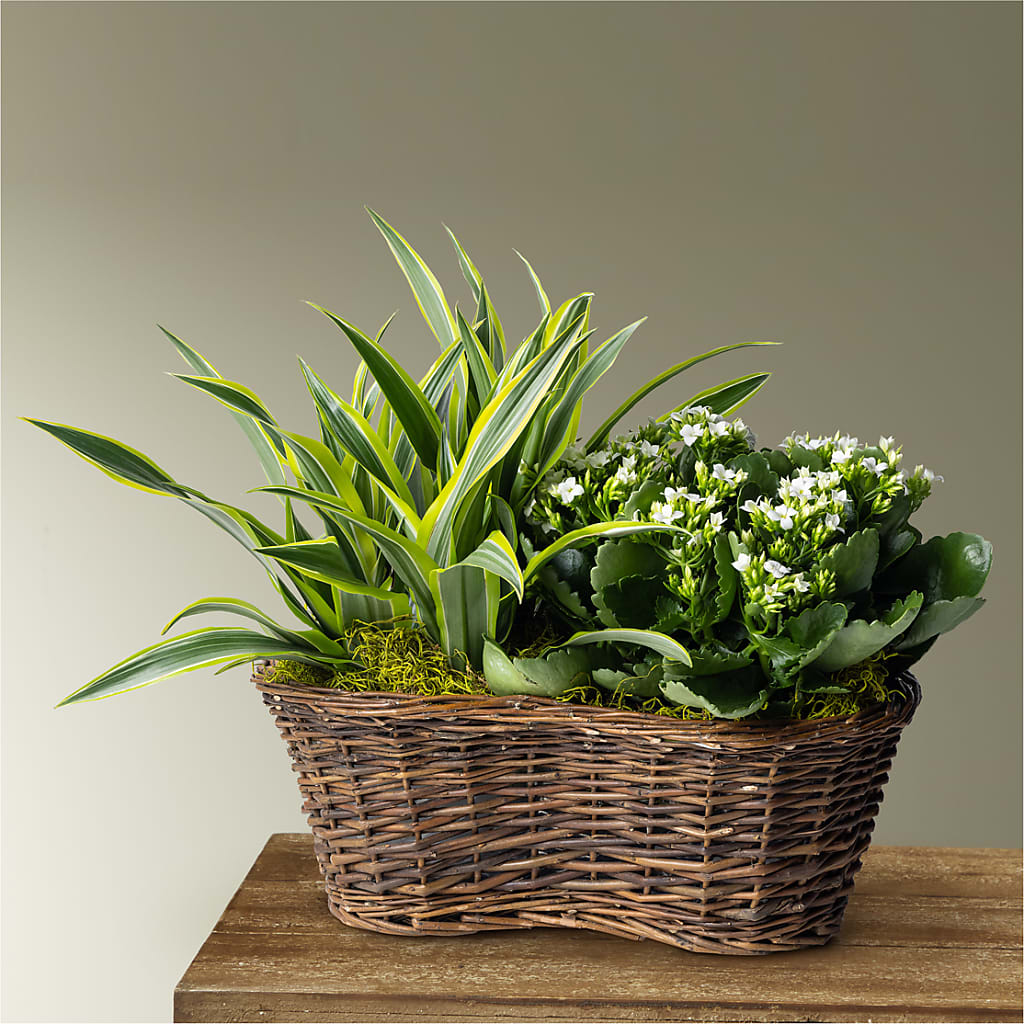 Blooming Garden – AZAR FLRST INC/NEWPORT BEACH FLRST & GDN, Irvine CA