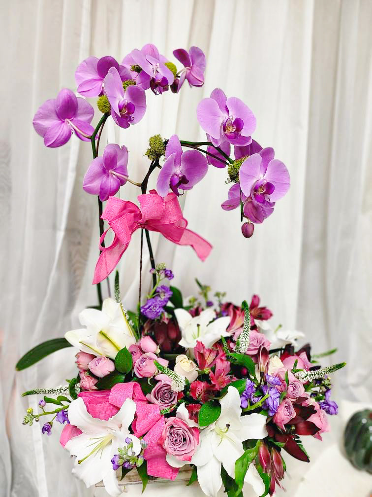 Radiant Orchid Garden β AZAR FLRST INC/NEWPORT BEACH FLRST & GDN, Irvine CA