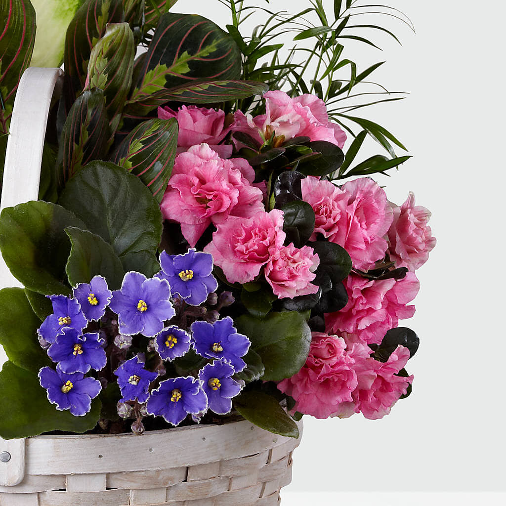 Peaceful Garden Planter – AZAR FLRST INC/NEWPORT BEACH FLRST & GDN, Irvine CA