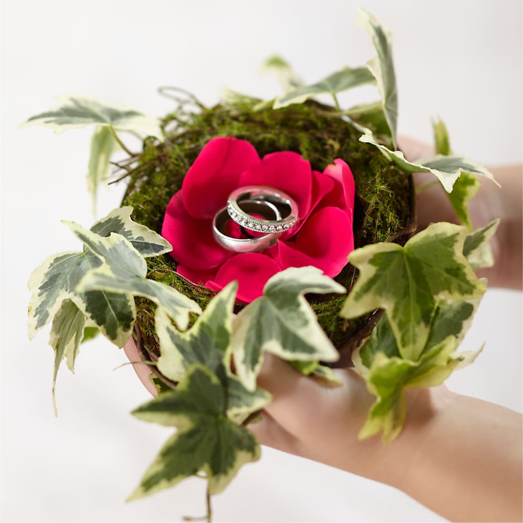 Lila Rose Ring Nest – AZAR FLRST INC/NEWPORT BEACH FLRST & GDN, Irvine CA