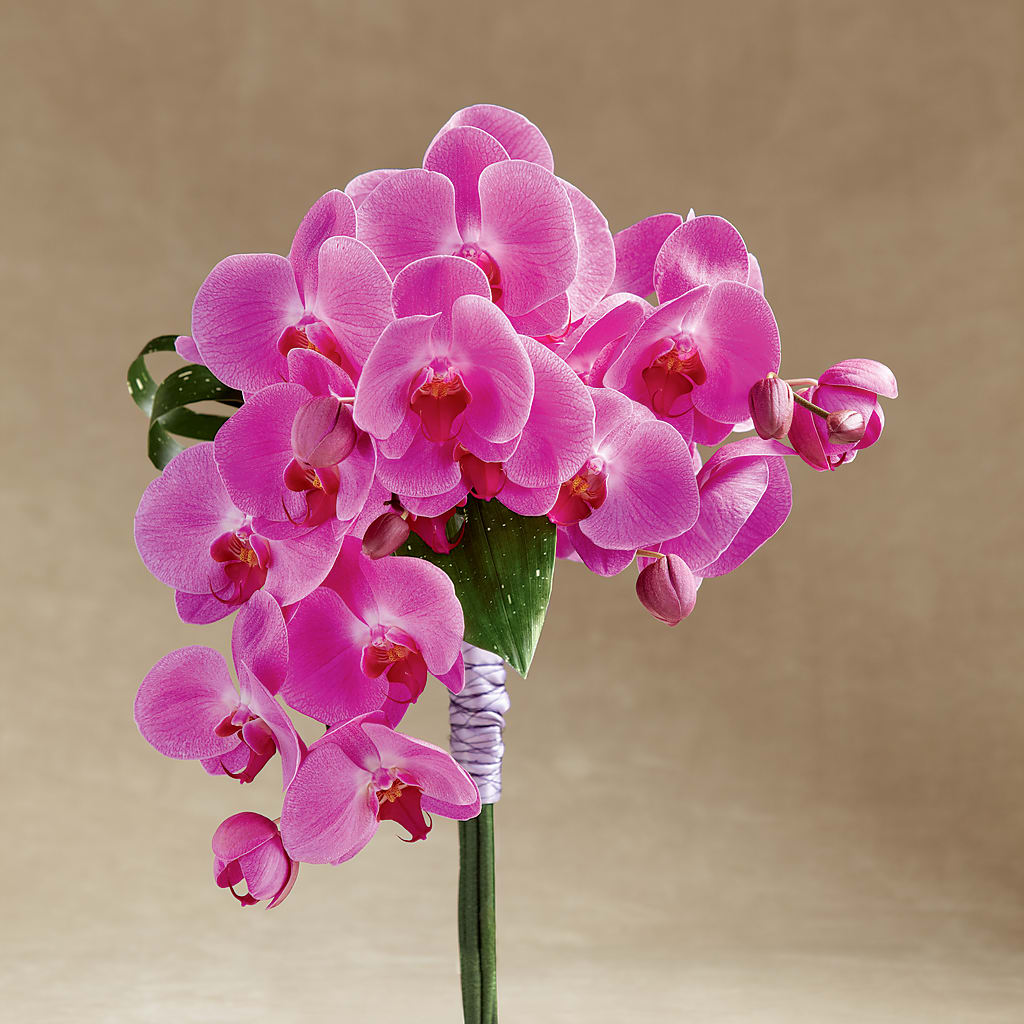 Glorious Bouquet – AZAR FLRST INC/NEWPORT BEACH FLRST & GDN, Irvine CA