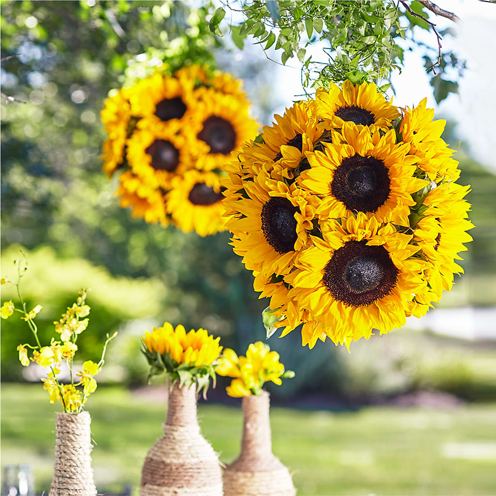 Sublime Garden Hanging Arrangement – AZAR FLRST INC/NEWPORT BEACH FLRST & GDN, Irvine CA