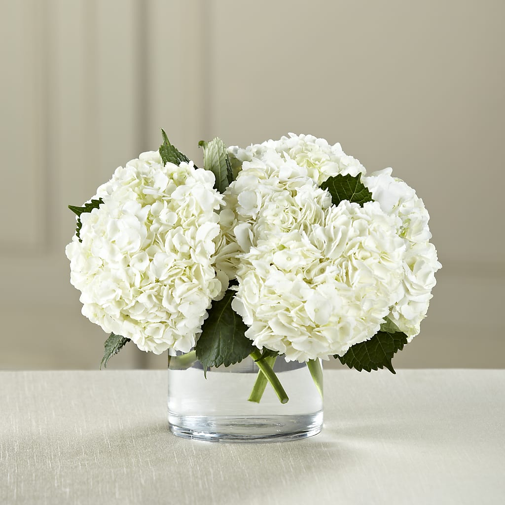 White Hydrangea Bouquet – AZAR FLRST INC/NEWPORT BEACH FLRST & GDN, Irvine CA