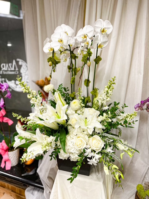 Eternal Grace – AZAR FLRST INC/NEWPORT BEACH FLRST & GDN, Irvine CA