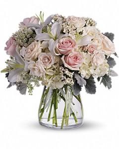 Beautiful Whisper – AZAR FLRST INC/NEWPORT BEACH FLRST & GDN, Irvine CA