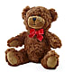 Adorable Plush Bear – AZAR FLRST INC/NEWPORT BEACH FLRST & GDN, Irvine CA