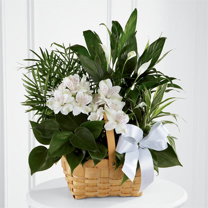 Peace & Serenity Dishgarden – AZAR FLRST INC/NEWPORT BEACH FLRST & GDN, Irvine CA