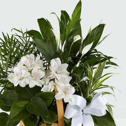 Peace & Serenity Dishgarden – AZAR FLRST INC/NEWPORT BEACH FLRST & GDN, Irvine CA