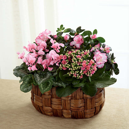 Pink Assortment – AZAR FLRST INC/NEWPORT BEACH FLRST & GDN, Irvine CA