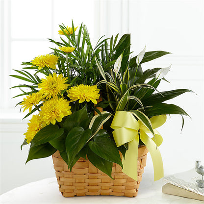 Loving Light Dishgarden – AZAR FLRST INC/NEWPORT BEACH FLRST & GDN, Irvine CA