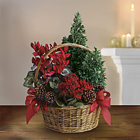 Christmas Pines Garden Basket