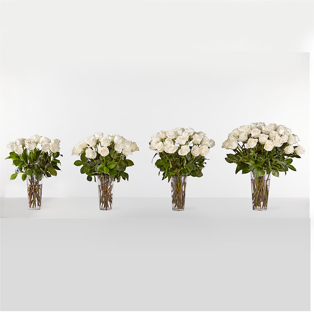 Long Stem White Rose Bouquet – AZAR FLRST INC/NEWPORT BEACH FLRST & GDN, Irvine CA