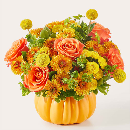 Gourdgeous Pumpkin – AZAR FLRST INC/NEWPORT BEACH FLRST & GDN, Irvine CA
