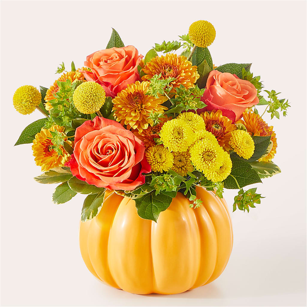 Gourdgeous Pumpkin – AZAR FLRST INC/NEWPORT BEACH FLRST & GDN, Irvine CA