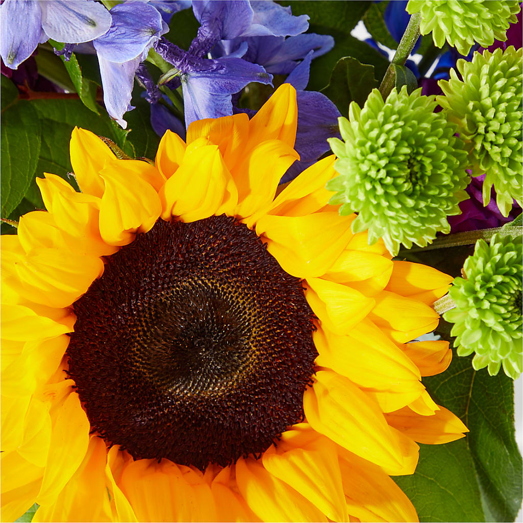 Catching Rays Bouquet – AZAR FLRST INC/NEWPORT BEACH FLRST & GDN, Irvine CA