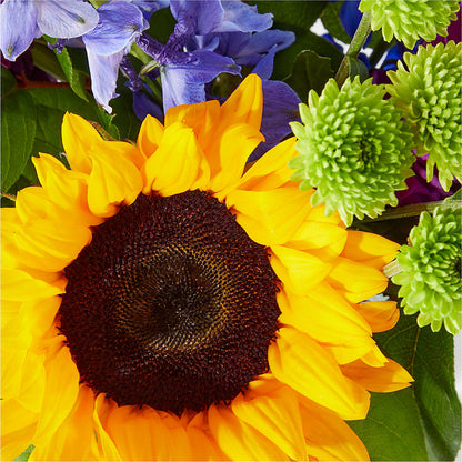 Catching Rays Bouquet – AZAR FLRST INC/NEWPORT BEACH FLRST & GDN, Irvine CA