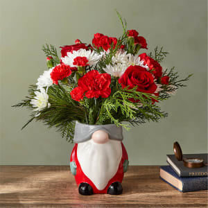 I'll Be Gnome for Christmas