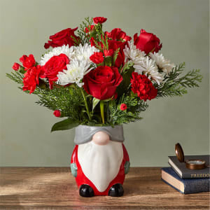 I'll Be Gnome for Christmas