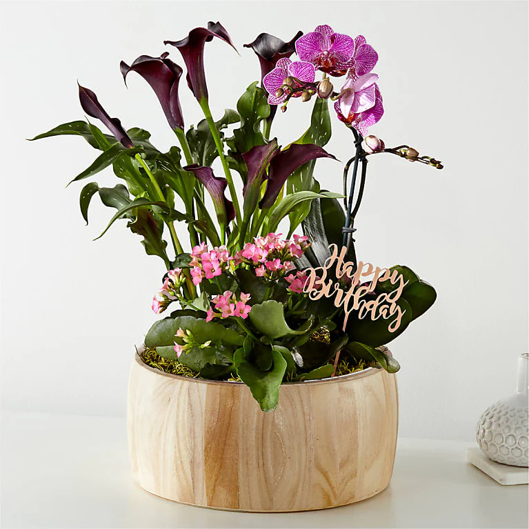 Love in Full Bloom Garden