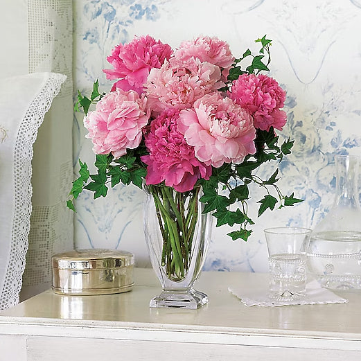 Perfect Peonies