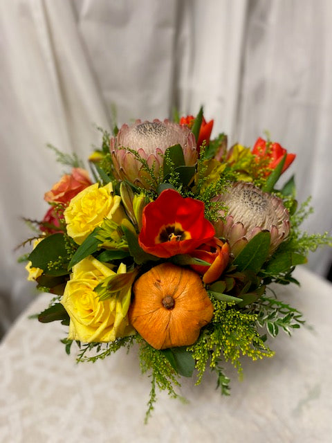 Protea Harvest