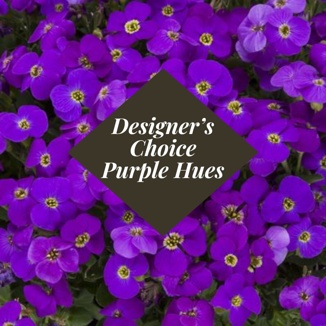 Designer's Choice Purple Hues