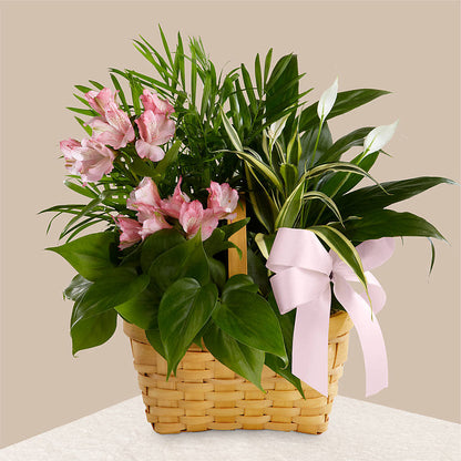 Living Spirit Dishgarden – AZAR FLRST INC/NEWPORT BEACH FLRST & GDN, Irvine CA