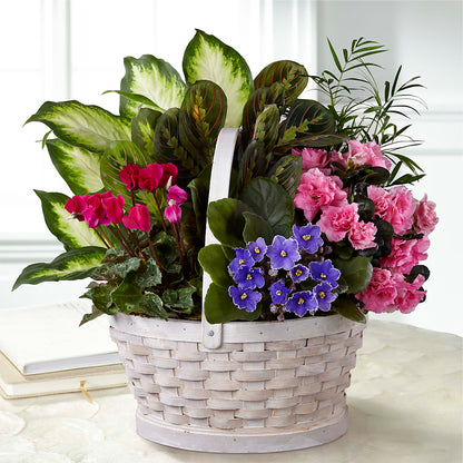 Peaceful Garden Planter – AZAR FLRST INC/NEWPORT BEACH FLRST & GDN, Irvine CA