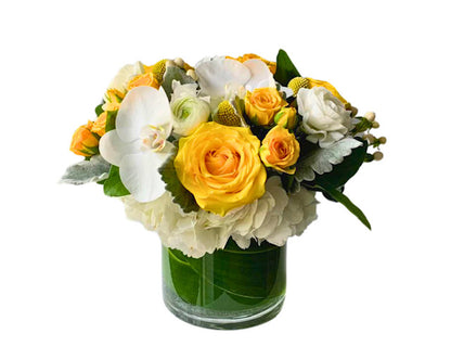 Sunshine Gratitude – AZAR FLRST INC/NEWPORT BEACH FLRST & GDN, Irvine CA