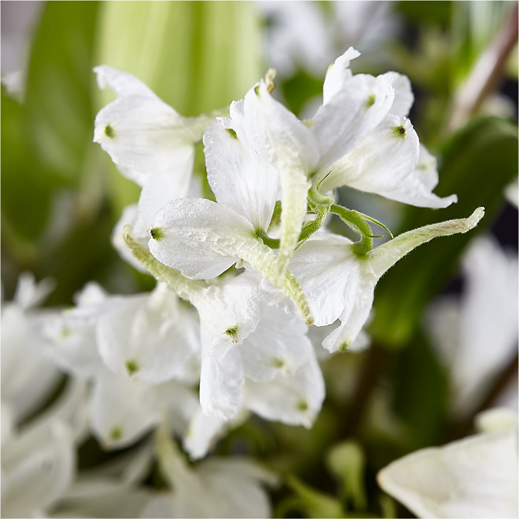 Classic Ivory – A Florist Original – AZAR FLRST INC/NEWPORT BEACH FLRST & GDN, Irvine CA