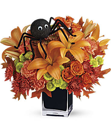 Spooky Sweet – AZAR FLRST INC/NEWPORT BEACH FLRST & GDN, Irvine CA