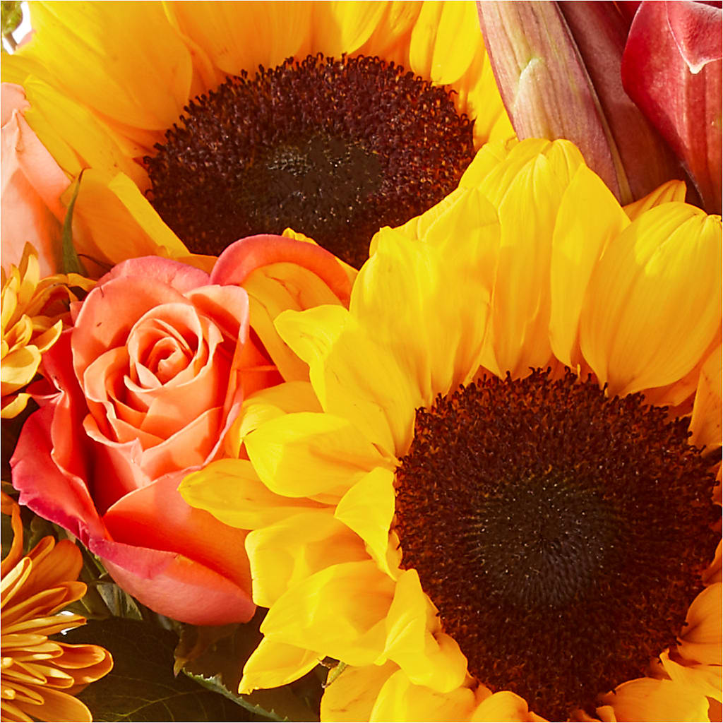 Acorn Lane Bouquet – AZAR FLRST INC/NEWPORT BEACH FLRST & GDN, Irvine CA