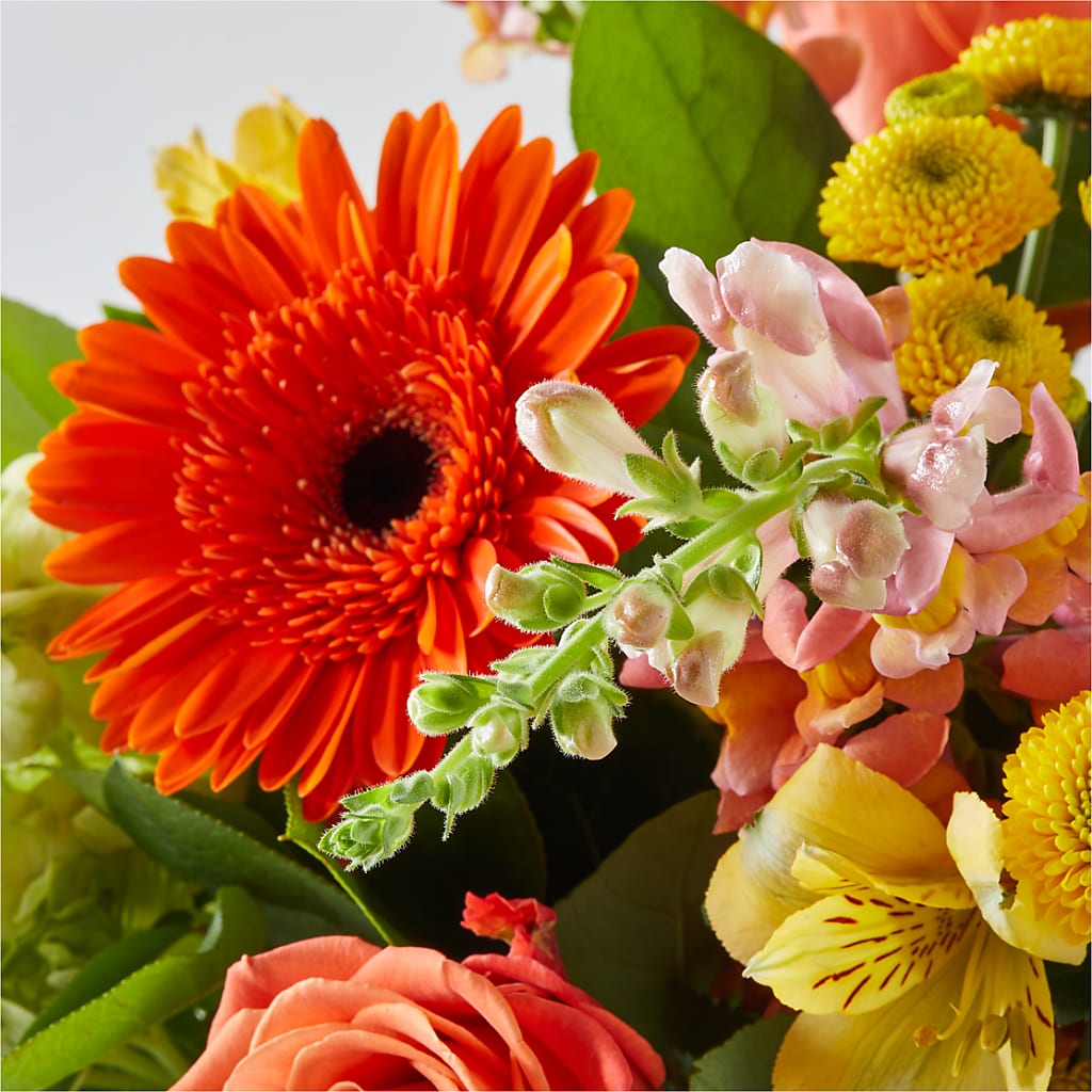Autumn Sunshine Bouquet – AZAR FLRST INC/NEWPORT BEACH FLRST & GDN, Irvine CA