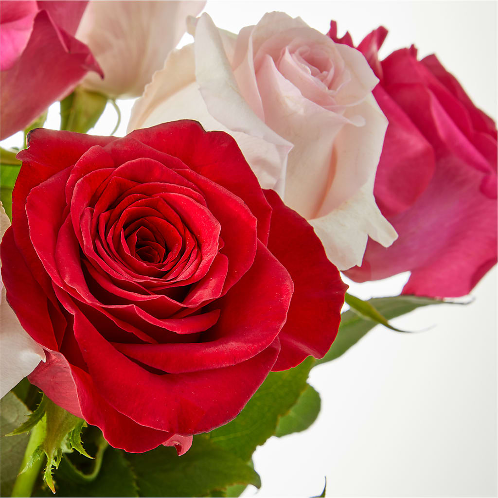 Charming Rose Bouquet – AZAR FLRST INC/NEWPORT BEACH FLRST & GDN, Irvine CA