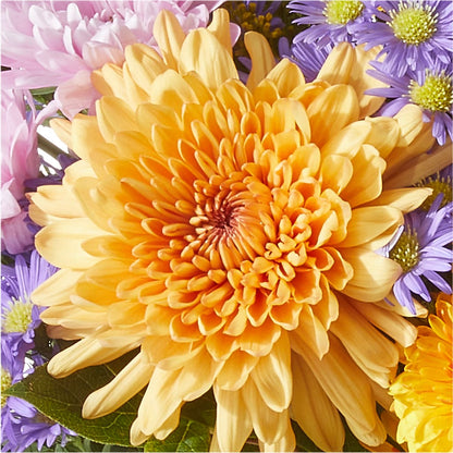 Countryside Bouquet – AZAR FLRST INC/NEWPORT BEACH FLRST & GDN, Irvine CA