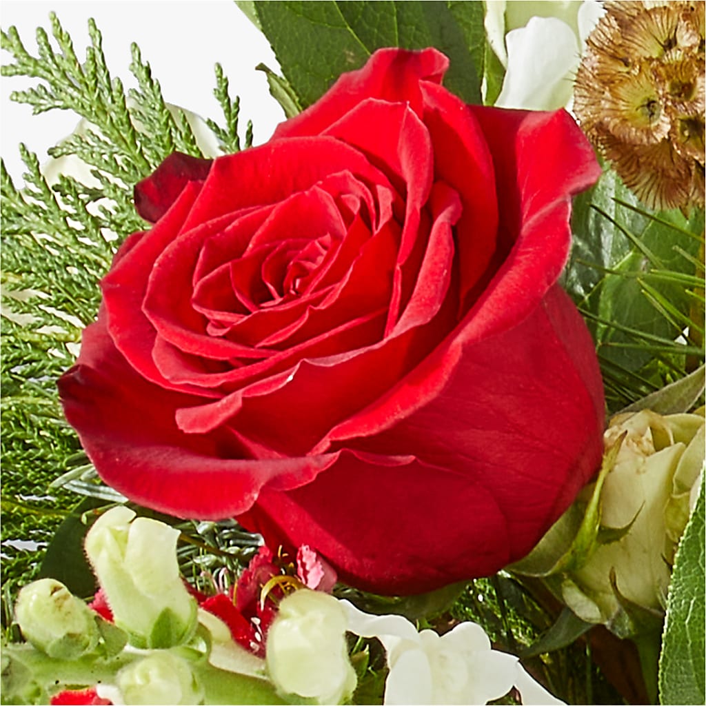 Deck the Halls Bouquet – AZAR FLRST INC/NEWPORT BEACH FLRST & GDN, Irvine CA